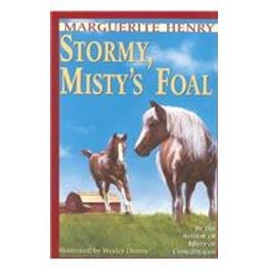 Stormy, Misty's Foal