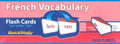 French Vocabulary Flash Cards