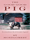 The Good Good Pig