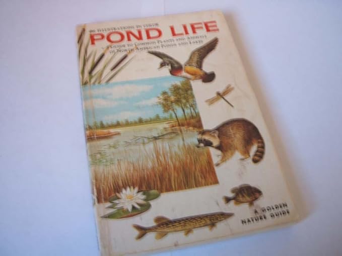 Pond Life (Golden Guide)