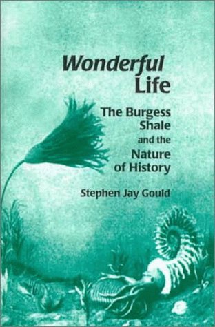 Wonderful Life