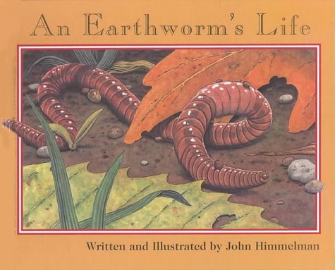 An Earthworm’s Life