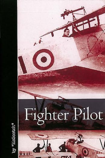 Fighter pilot