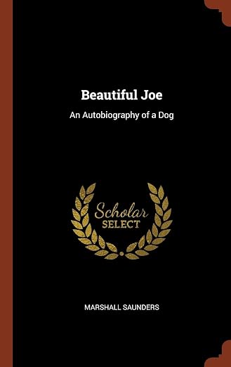 Beautiful Joe