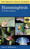 A field guide to hummingbirds of North America