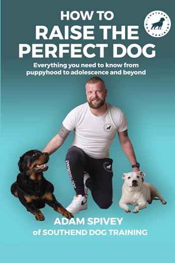 How To Raise The Perfect Dog