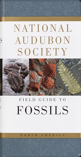 The Audubon Society field guide to North American fossils