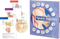 Anatomical Visual Guide to Sports Injuries