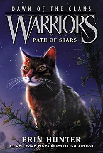 Path of Stars
