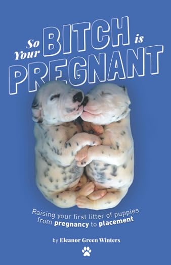 So Your Bitch Is Pregnant