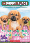 Sugar, gummi and lollipop