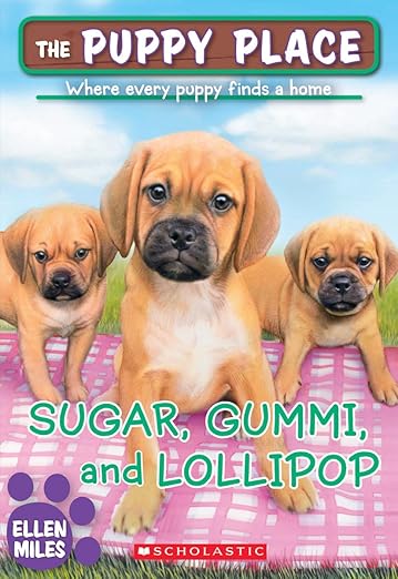 Sugar, gummi and lollipop