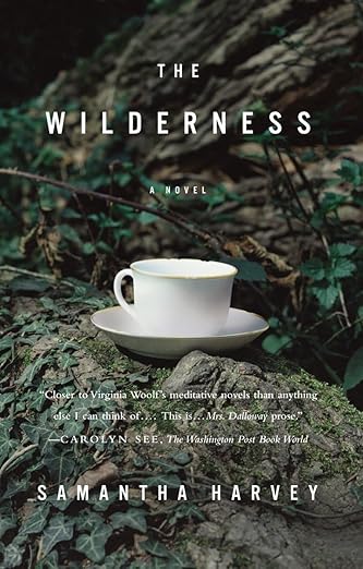 The Wilderness