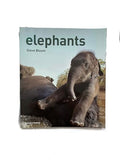 Elephants