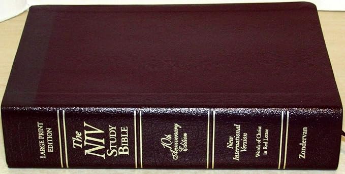 NIV Study Bible