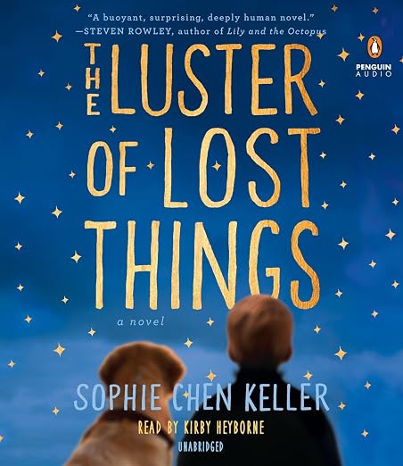 The Luster of Lost Things