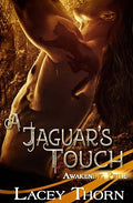 A Jaguar's Touch