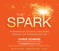 The Spark