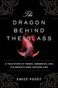 The dragon behind the glass