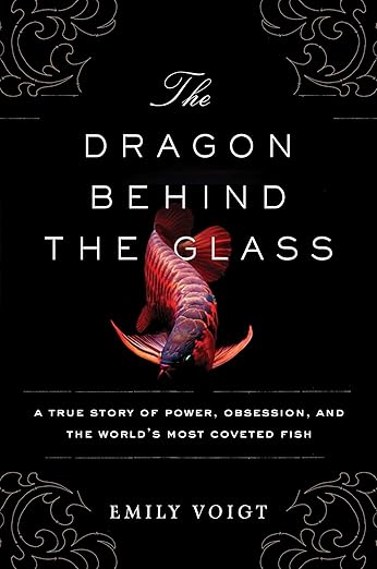 The dragon behind the glass
