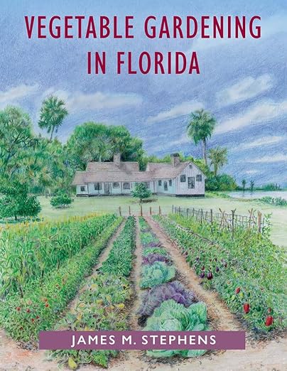 Vegetable gardening in Florida