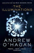 The Illuminations