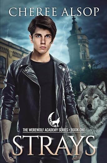 Werewolf Academy Book 1 : Strays