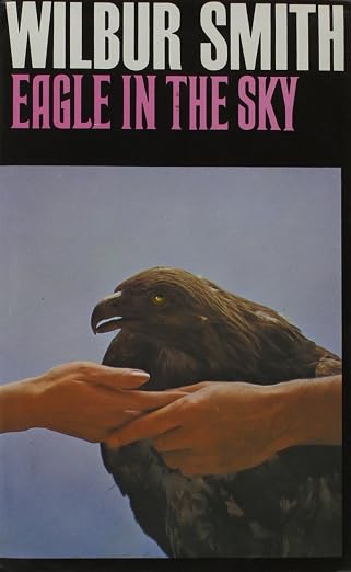 Eagle in the sky