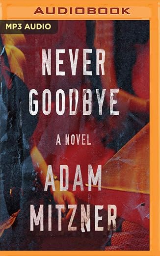 Never Goodbye