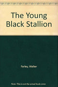 The Young Black Stallion