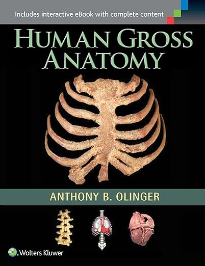 Human Gross Anatomy