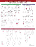 Travell, Simons & Simons’ Trigger Point Pain Patterns Wall Chart: Head, Neck, and Upper Limb