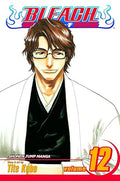 Bleach vol 12