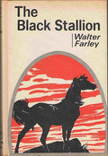 The black stallion