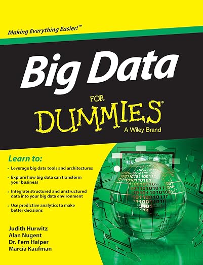 Big Data for Dummies