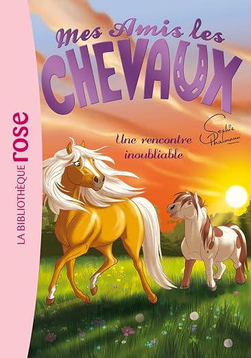 Mes amis les chevaux Sophie Thalmann 06 - Une rencontre inoubliable