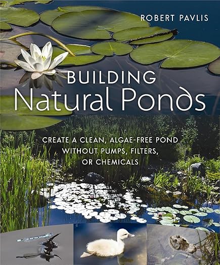 Building natural ponds