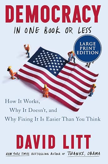 Democracy in One Book or Less