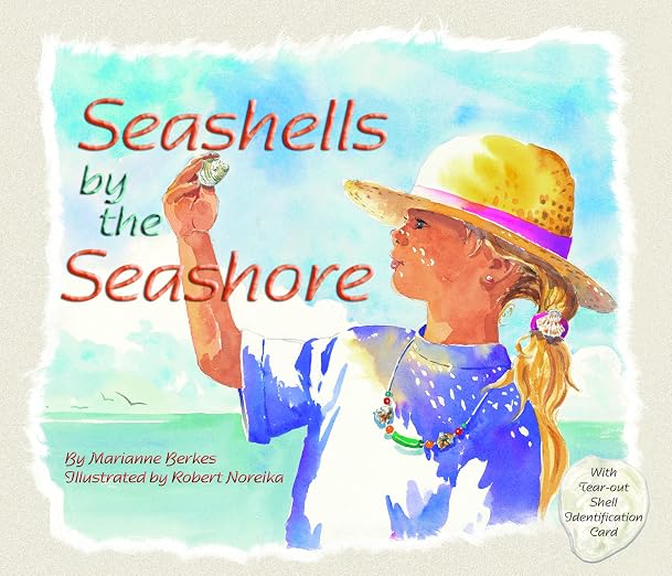 Seashells by the seashore