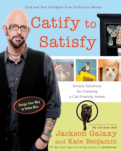 Catify to satisfy
