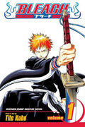 Bleach Volume 1