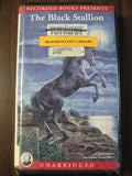 The Black Stallion