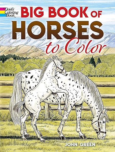 Big Book of Horses to Color