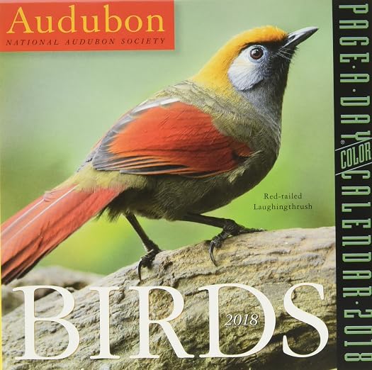Audubon Birds Page-A-Day Calendar 2018