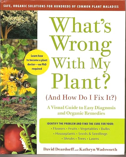 What's wrong with my plant? (and how do i fix it?)