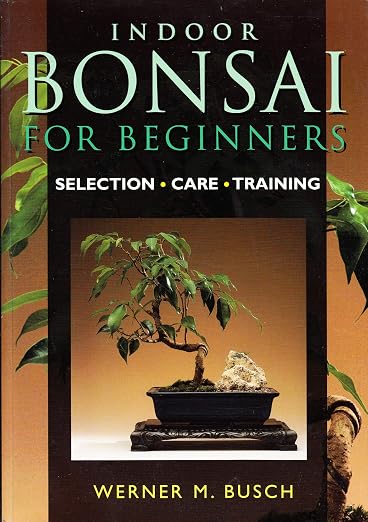 Indoor bonsai for beginners
