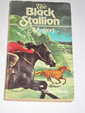 The Black Stallion Mystery