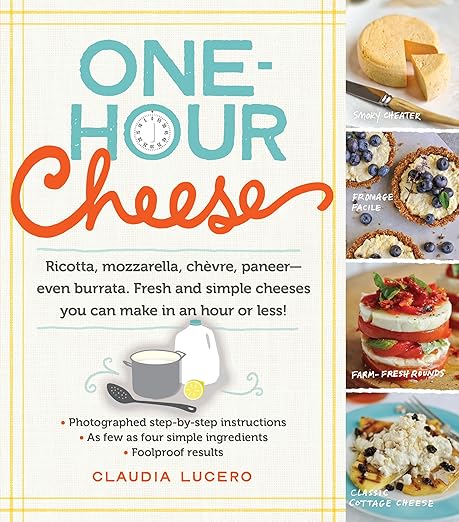 One-hour cheese