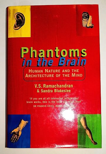 Phantoms in the brain