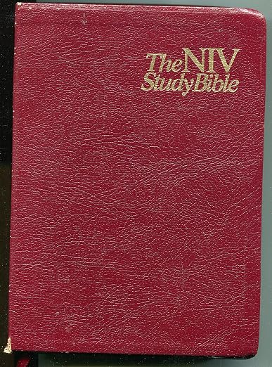 Holy Bible, New International Version